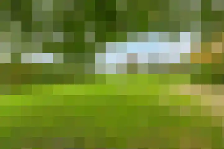 Binnenweg 5 Oostwold thumbnail 45