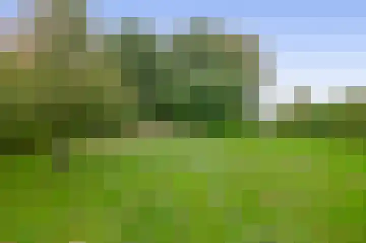 Binnenweg 5 Oostwold thumbnail 47