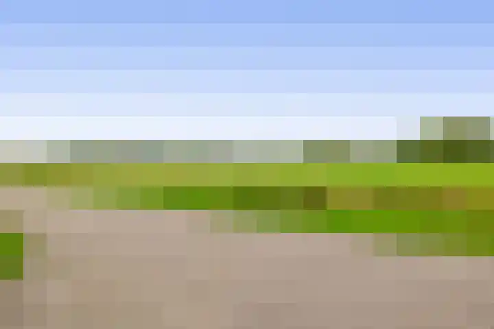 Binnenweg 5 Oostwold thumbnail 48