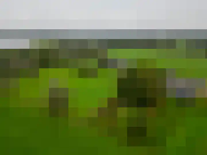 Binnenweg 5 Oostwold thumbnail 5