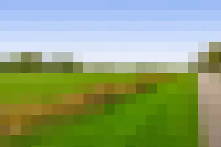 Binnenweg 5 Oostwold thumbnail 50