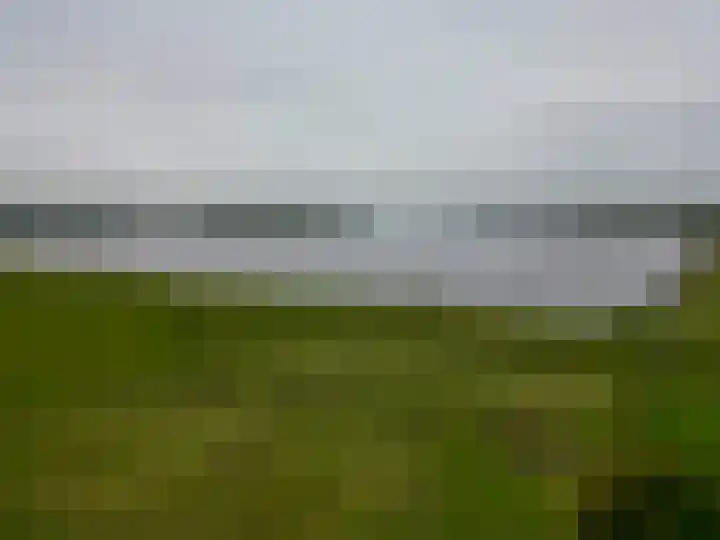 Binnenweg 5 Oostwold thumbnail 51