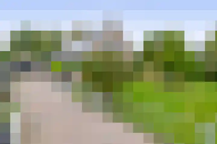 Binnenweg 5 Oostwold thumbnail 6
