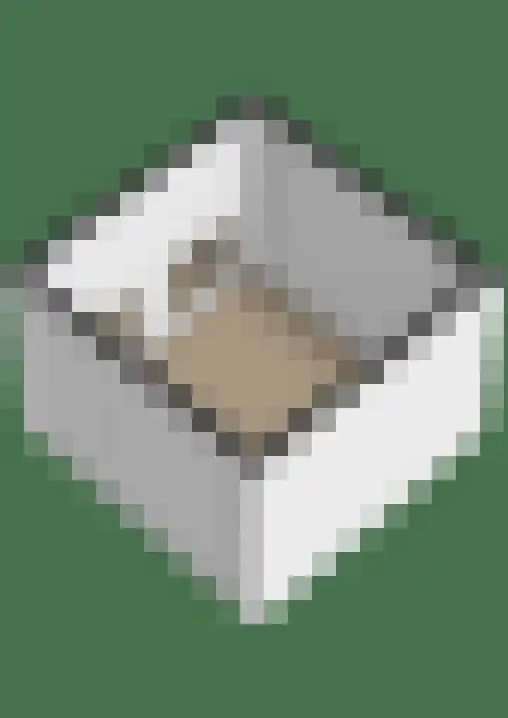 Binnenweg 5 Oostwold thumbnail 64