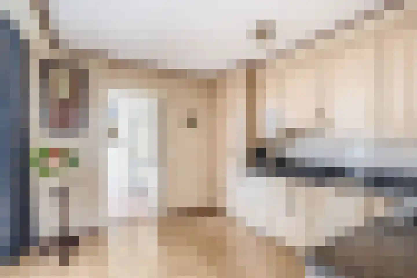Binnenweg 50 Sommelsdijk thumbnail 12