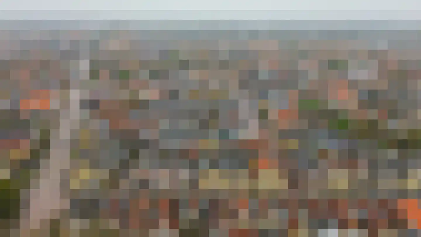 Binnenweg 50 Sommelsdijk thumbnail 33