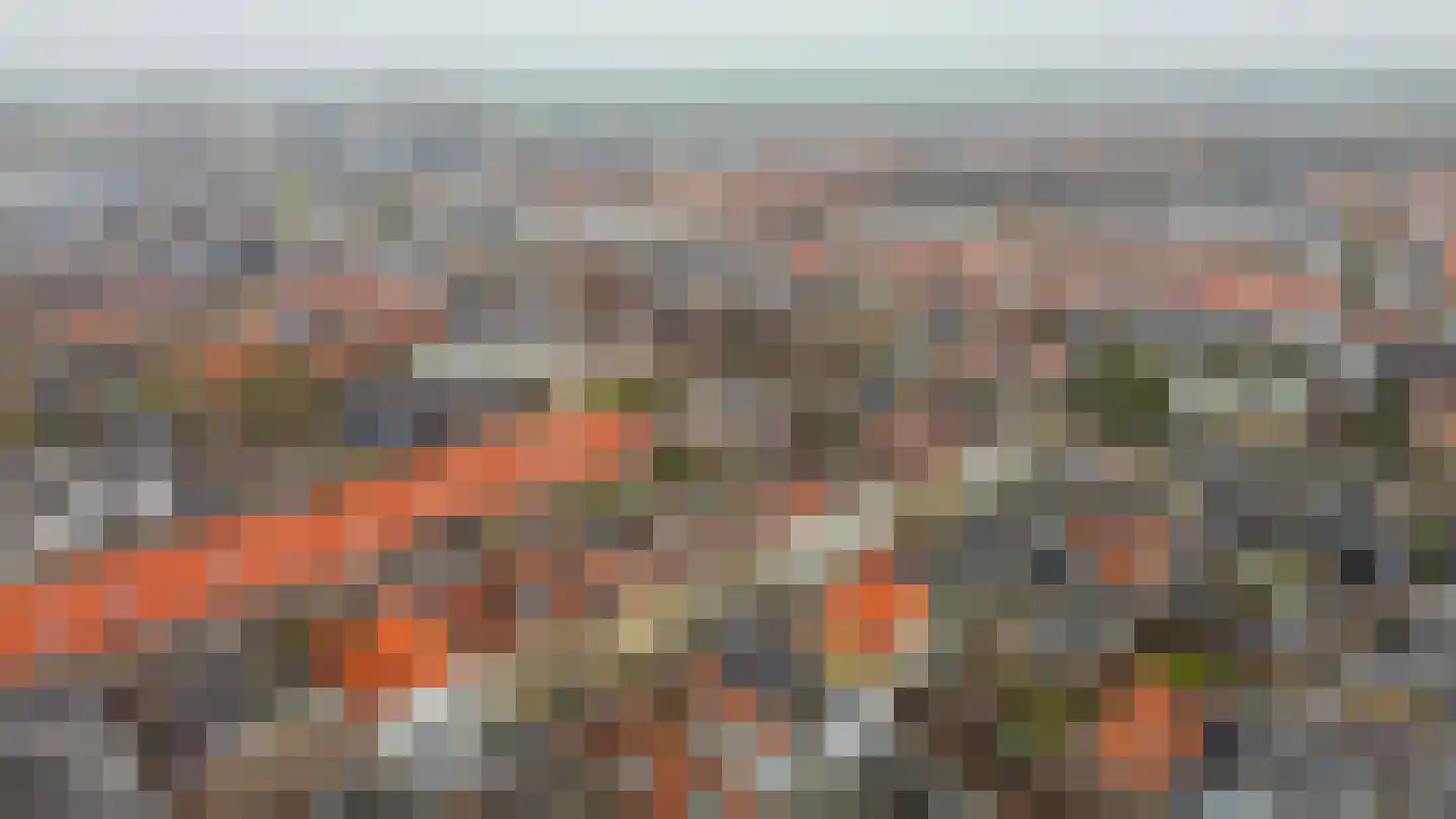 Binnenweg 50 Sommelsdijk thumbnail 34