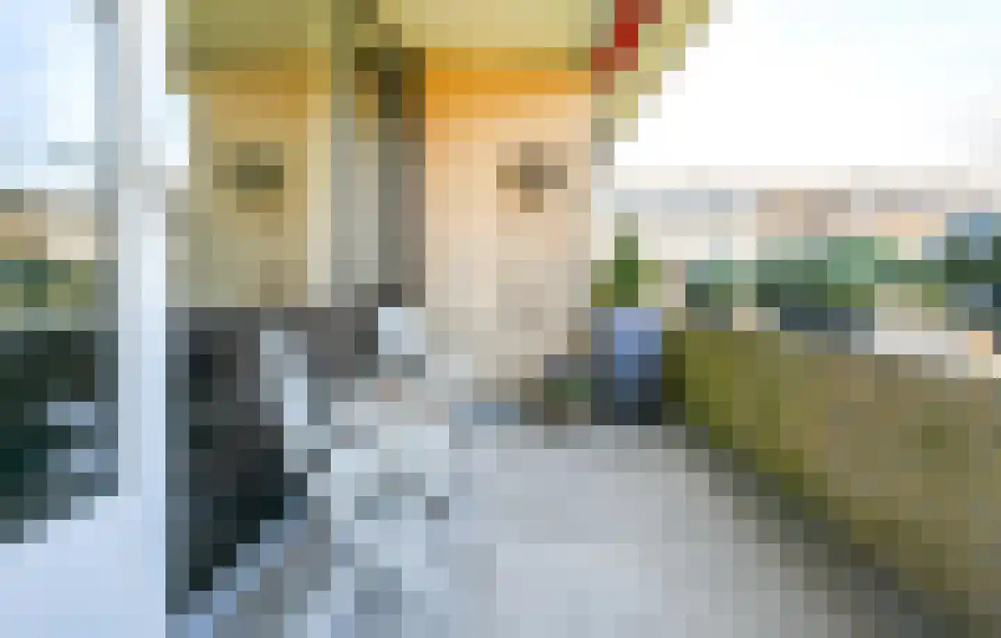 Binnenweg 6 f 117 Bennebroek thumbnail 14