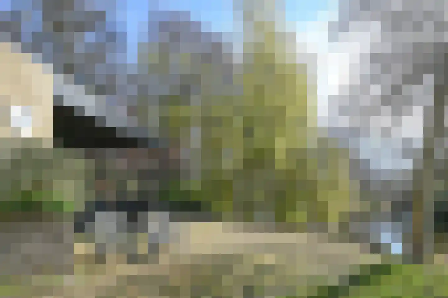 Binnenweg 6 f 117 Bennebroek thumbnail 26