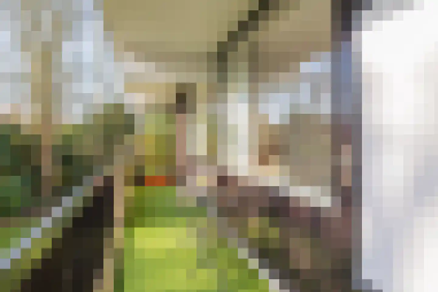 Binnenweg 6 f 128 Bennebroek thumbnail 18