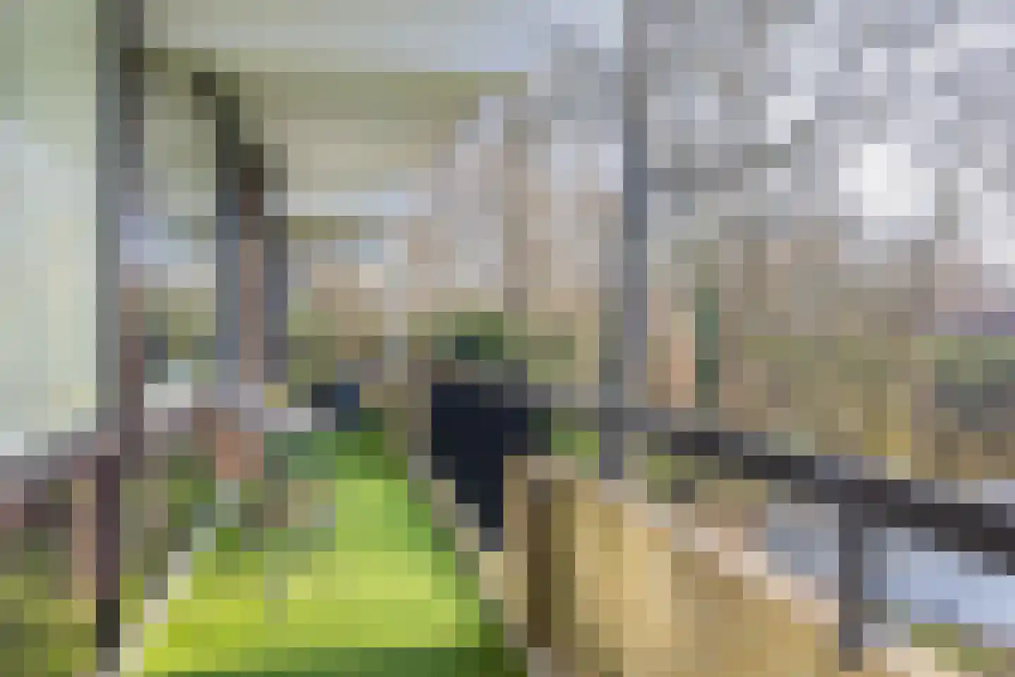 Binnenweg 6 f 128 Bennebroek thumbnail 19