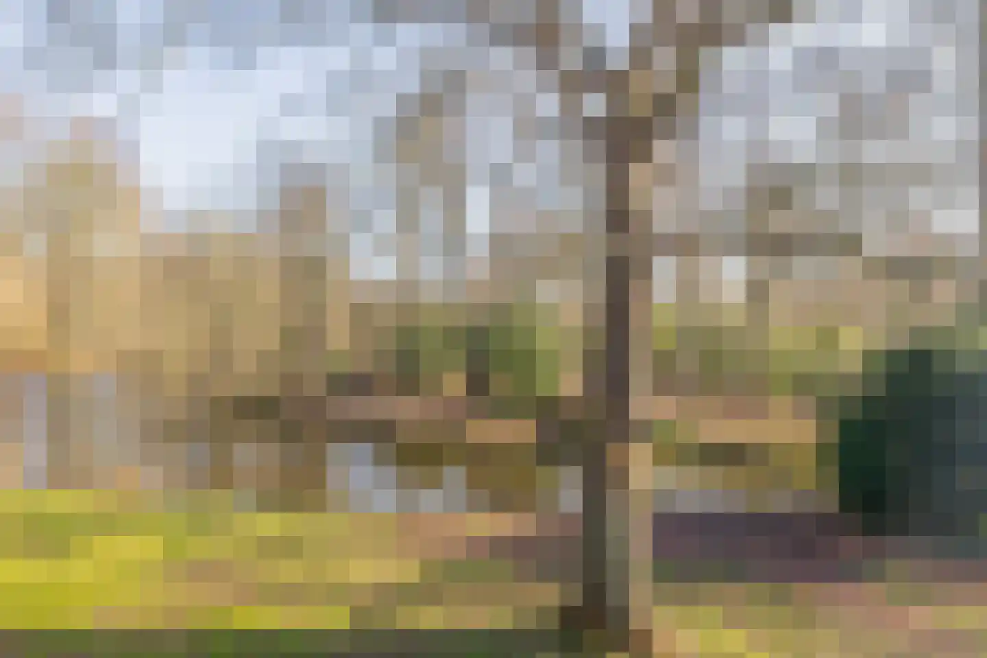 Binnenweg 6 f 128 Bennebroek thumbnail 20
