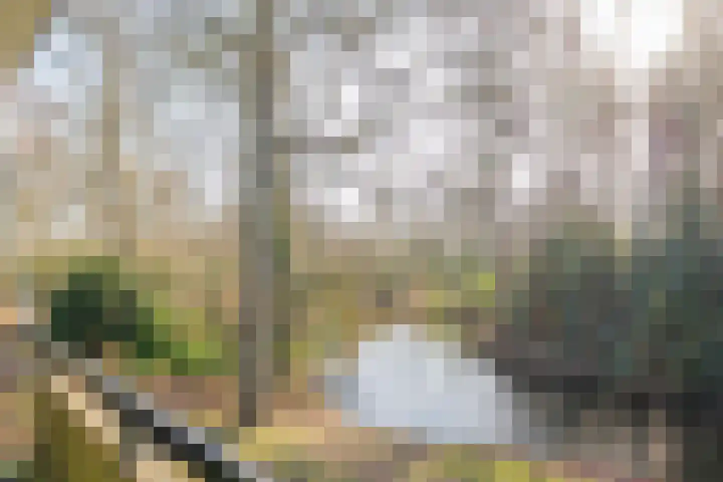 Binnenweg 6 f 128 Bennebroek thumbnail 21