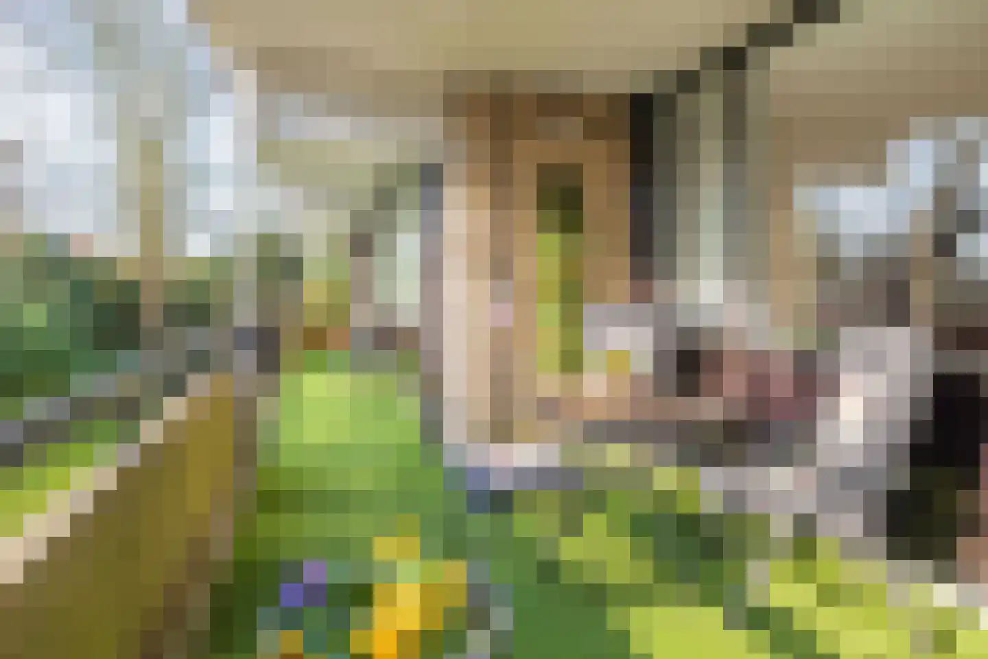 Binnenweg 6 f 128 Bennebroek thumbnail 4