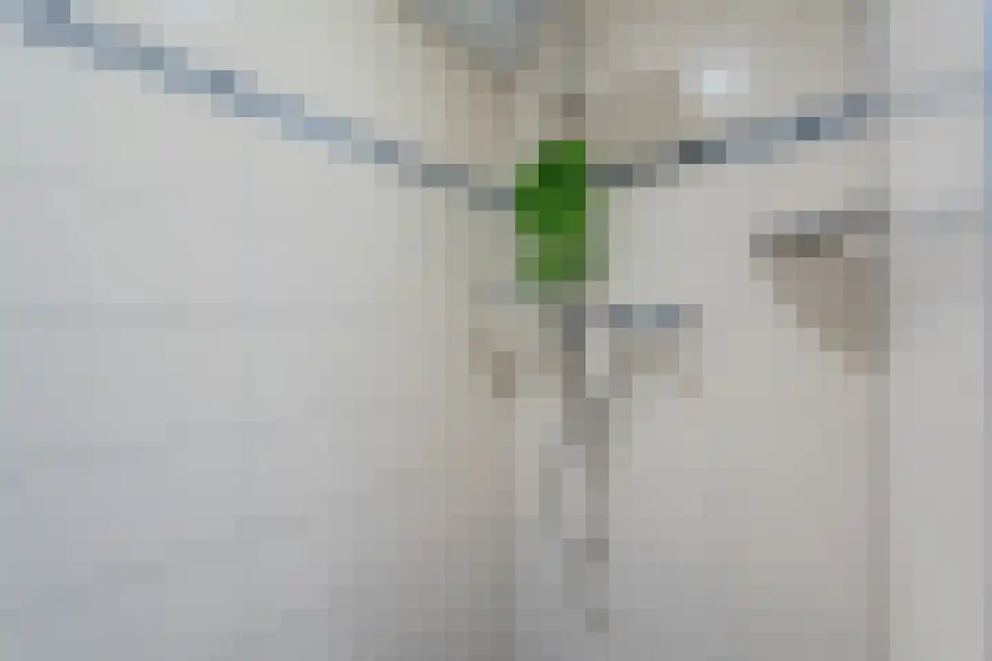 Binnenweg 6 Hoogerheide thumbnail 18