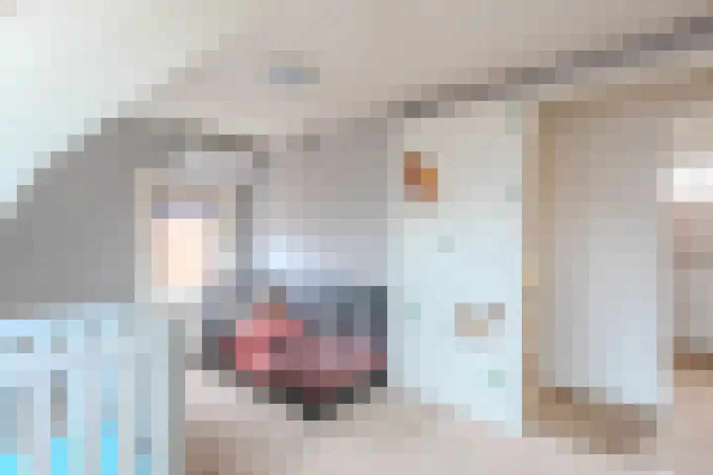 Binnenweg 6 Hoogerheide thumbnail 21