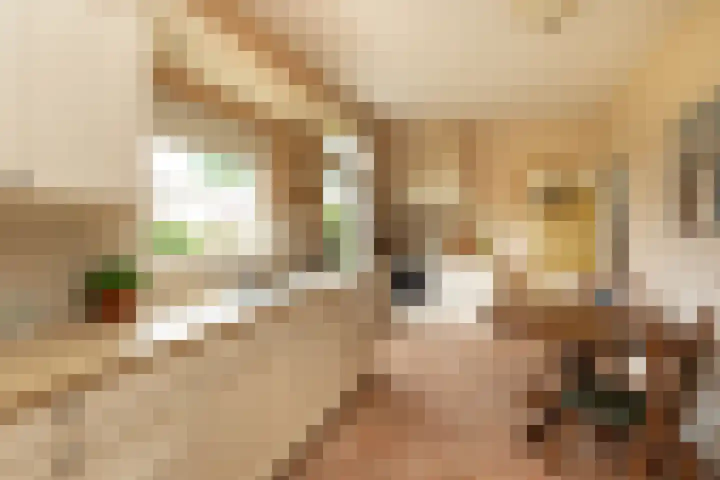 Binnenweg 65 Loenersloot thumbnail 12