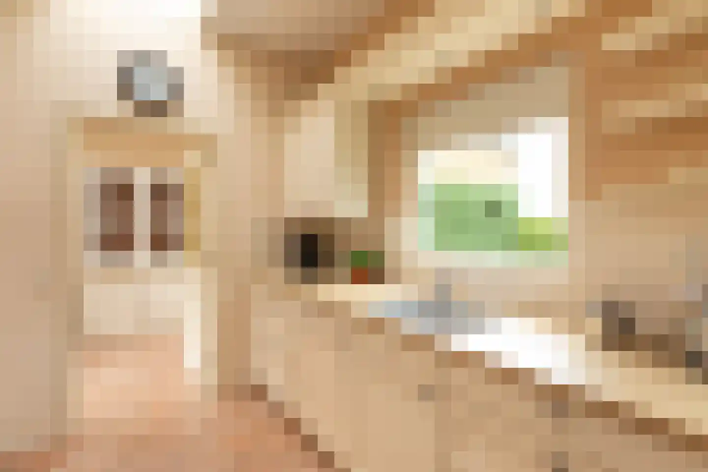 Binnenweg 65 Loenersloot thumbnail 14