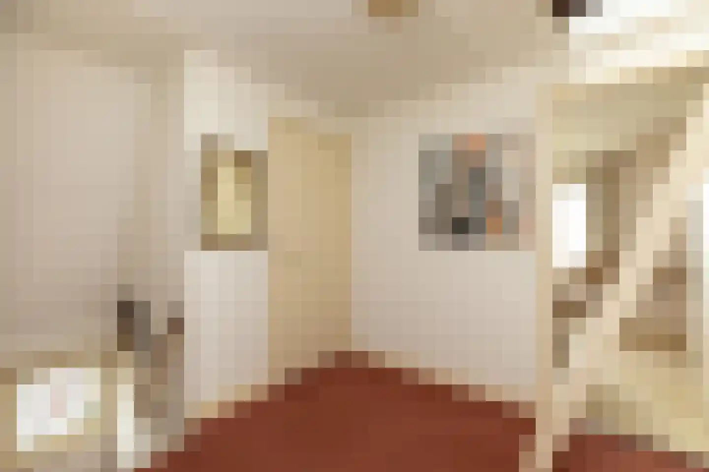 Binnenweg 65 Loenersloot thumbnail 20