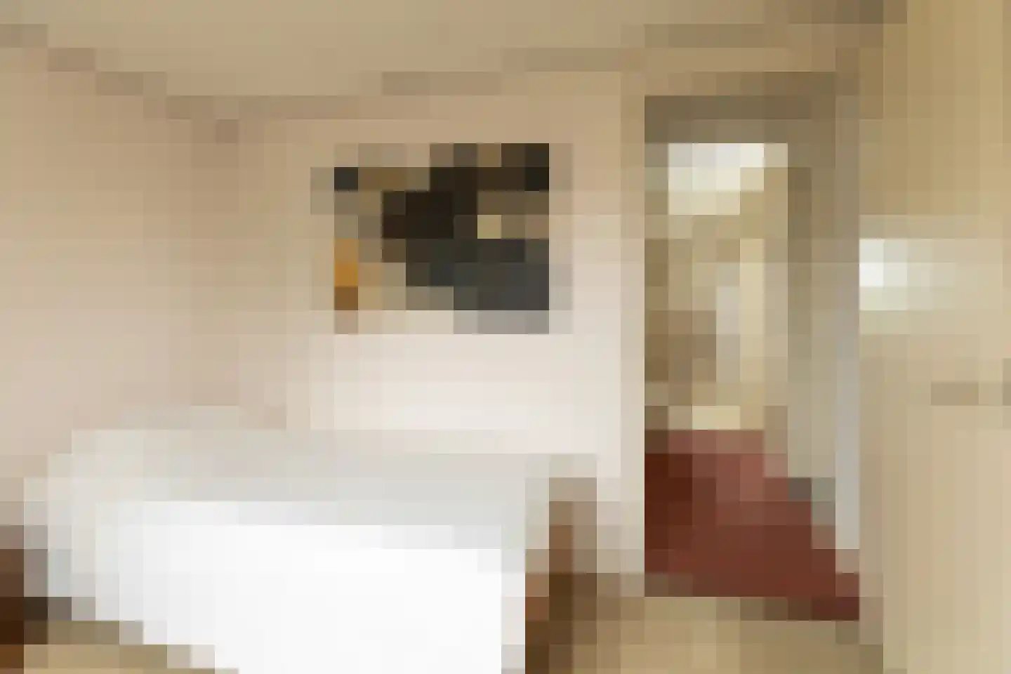 Binnenweg 65 Loenersloot thumbnail 22