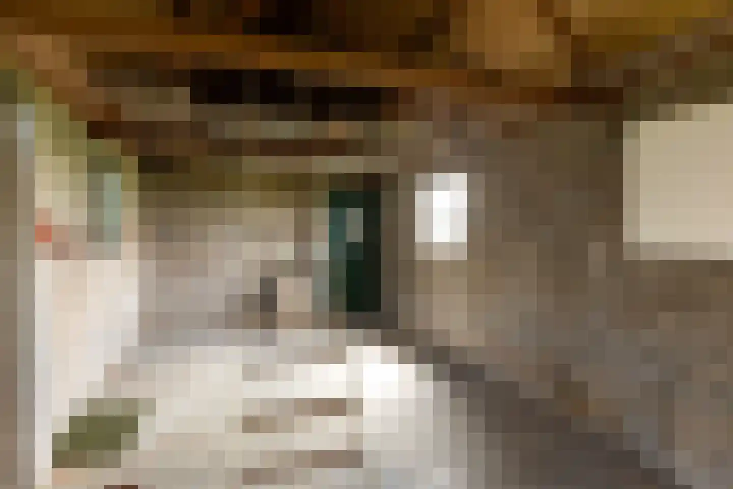 Binnenweg 65 Loenersloot thumbnail 38
