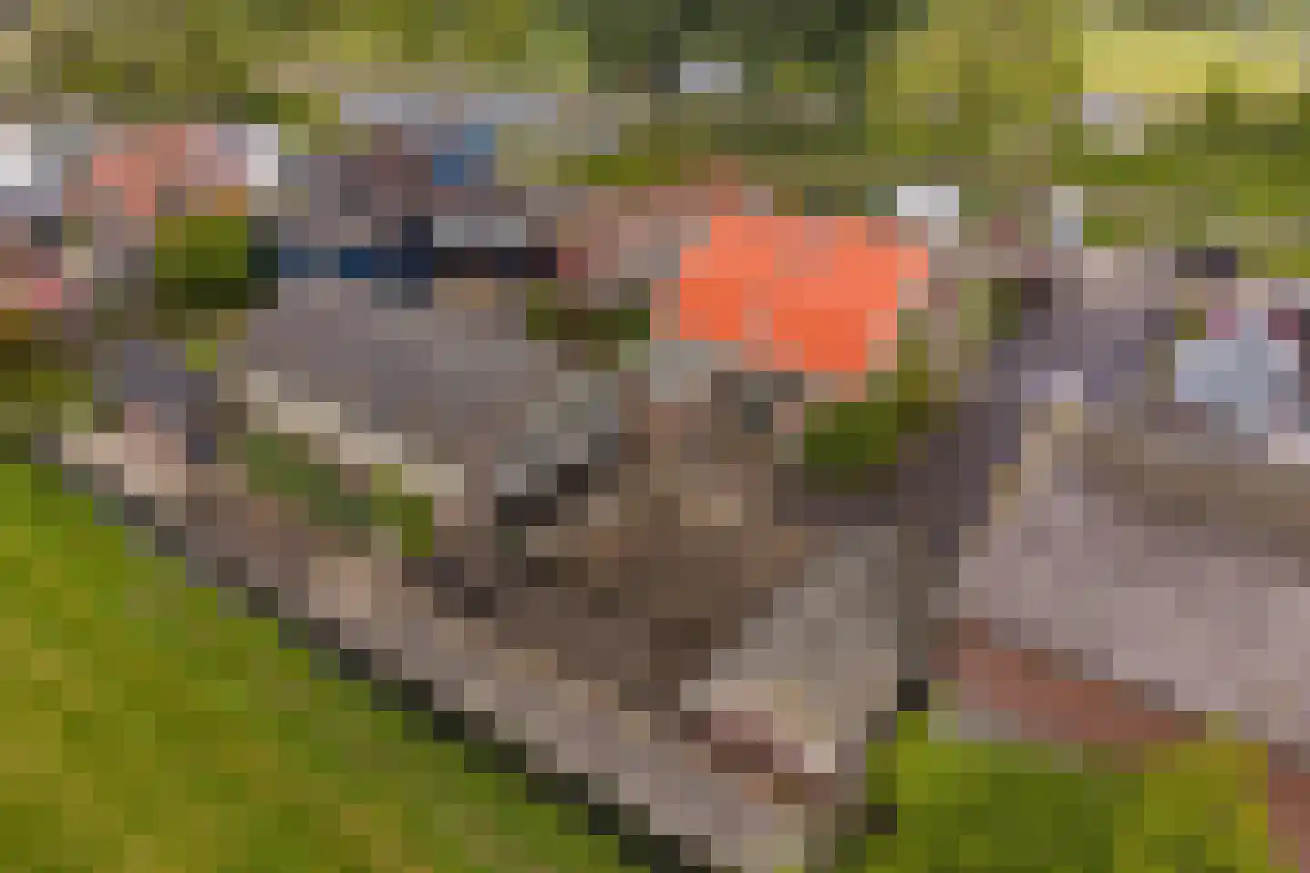 Binnenweg 65 Loenersloot thumbnail 52