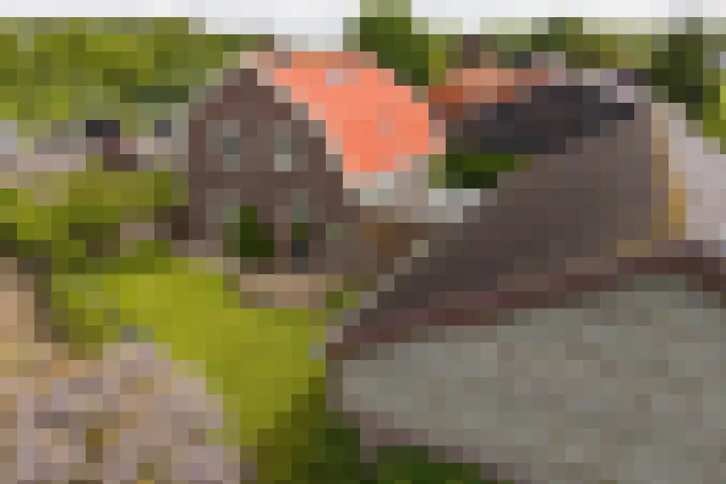 Binnenweg 65 Loenersloot thumbnail 53