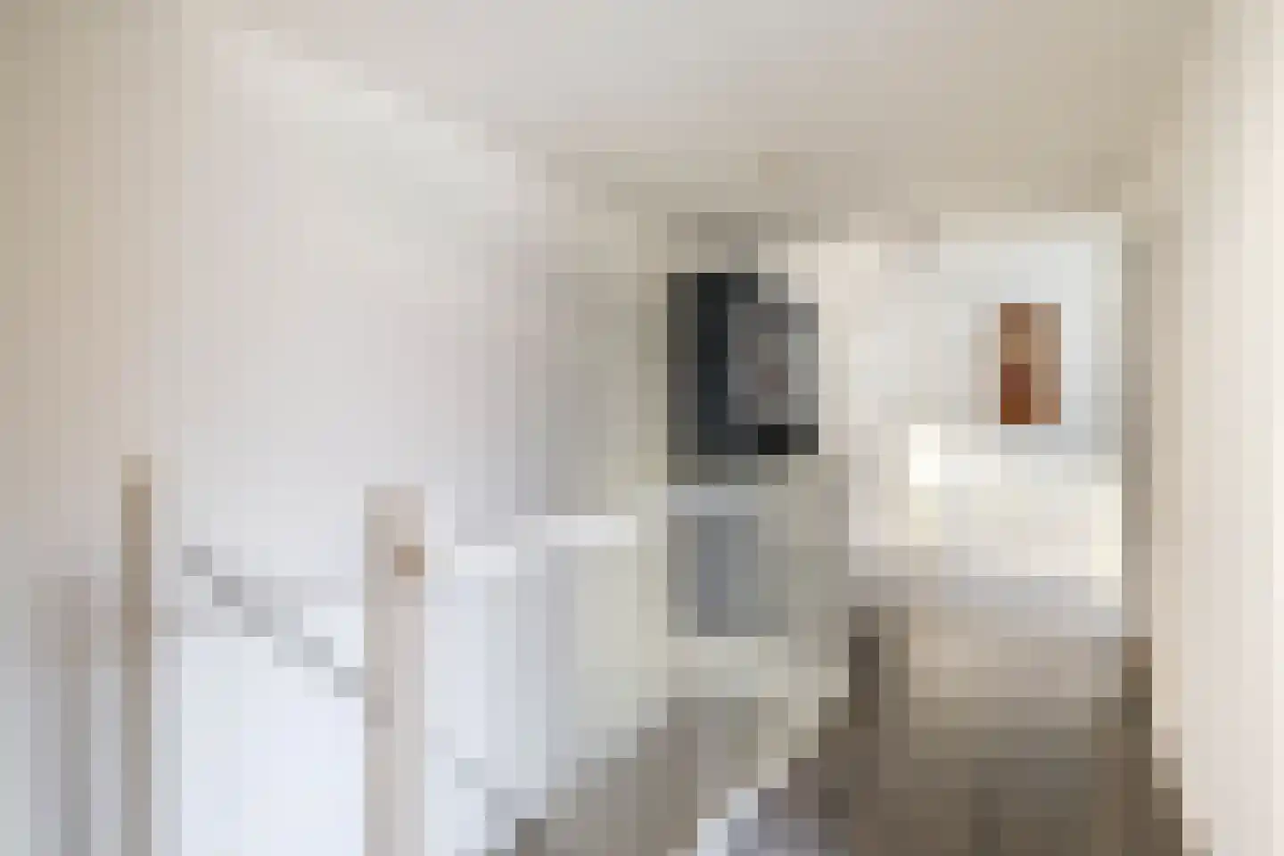 Binnenweg 7 Sommelsdijk thumbnail 19