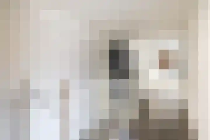 Binnenweg 7 Sommelsdijk thumbnail 19