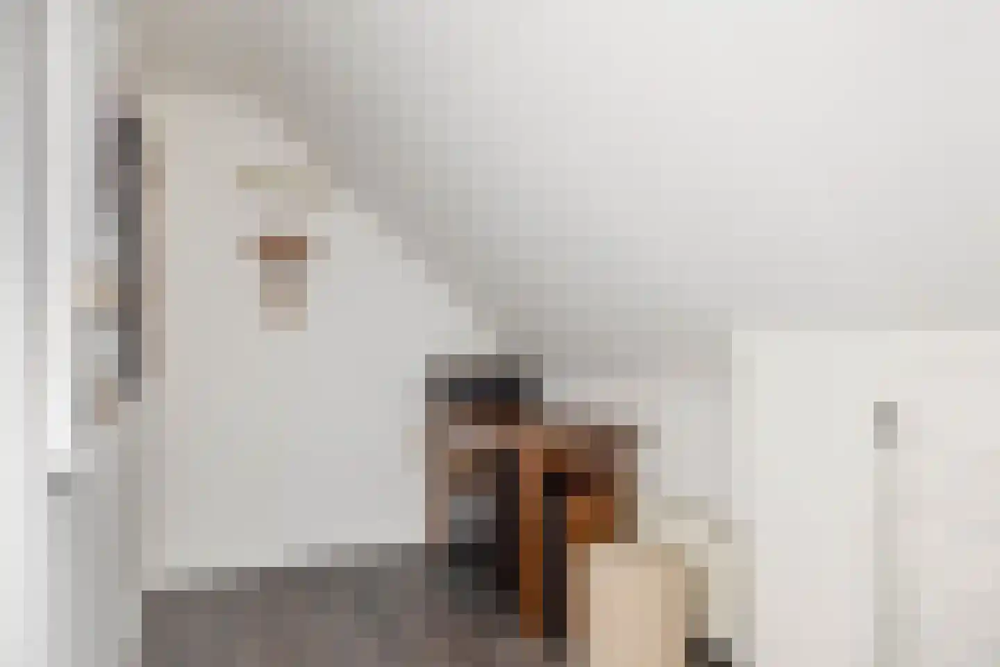 Binnenweg 7 Sommelsdijk thumbnail 24