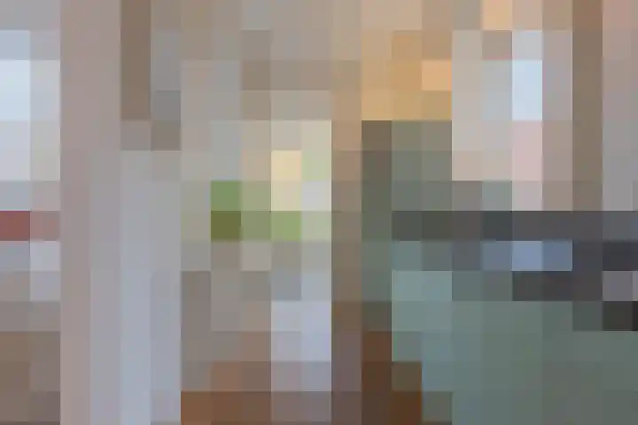 Binnenweg 7 Tiel thumbnail 25
