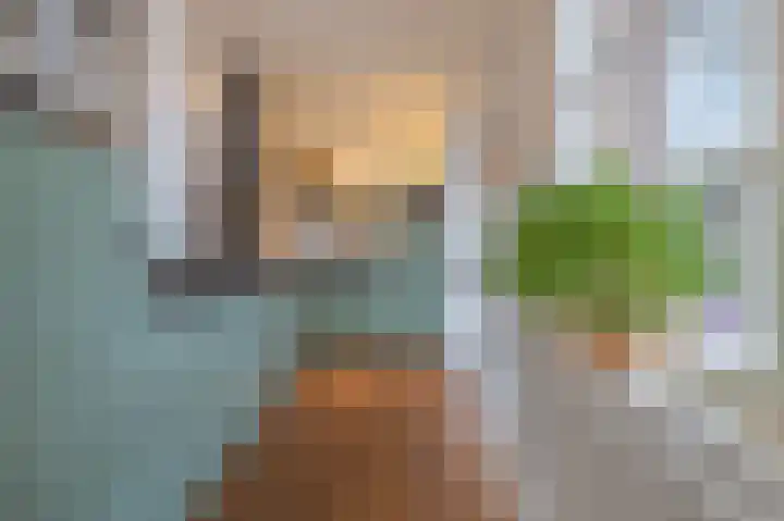 Binnenweg 7 Tiel thumbnail 26