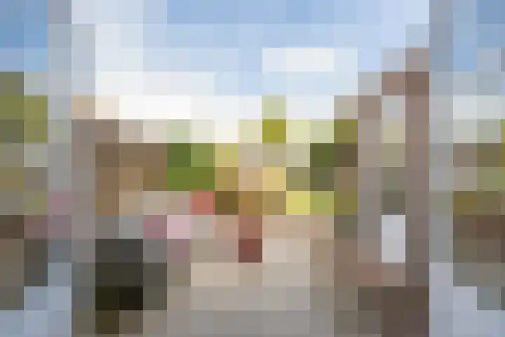 Binnenweg 7 Tiel thumbnail 33
