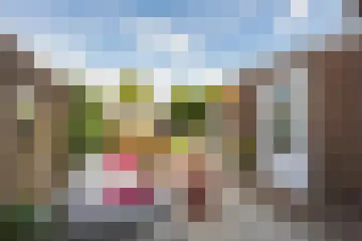 Binnenweg 7 Tiel thumbnail 34