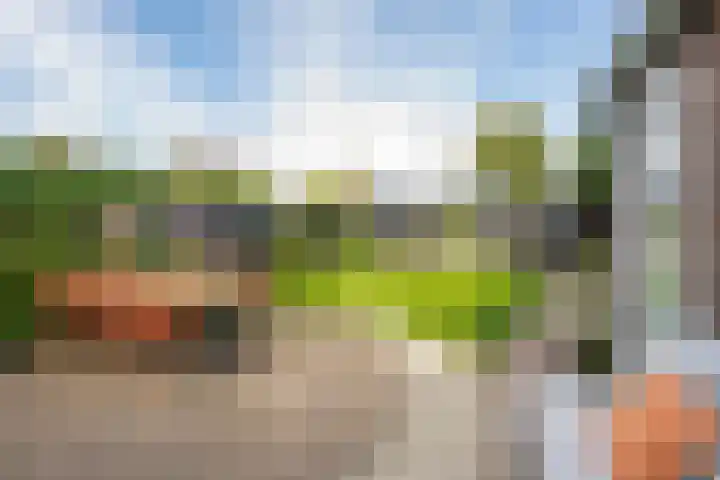 Binnenweg 7 Tiel thumbnail 37