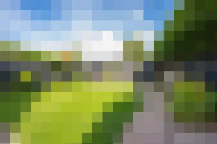 Binnenweg 7 Tiel thumbnail 38
