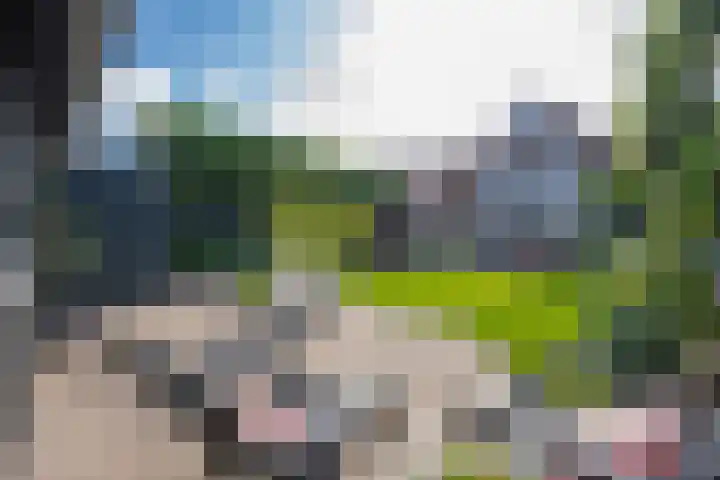 Binnenweg 7 Tiel thumbnail 4