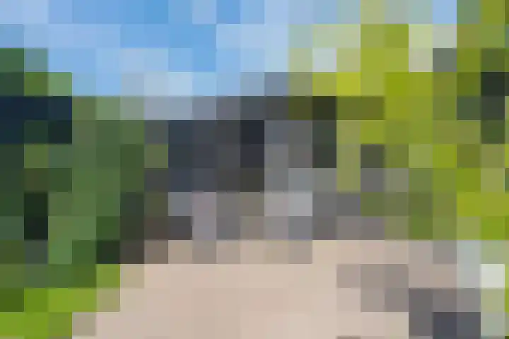 Binnenweg 7 Tiel thumbnail 42