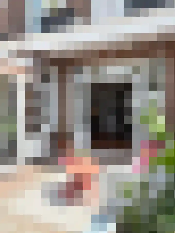 Binnenweg 7 Tiel thumbnail 53