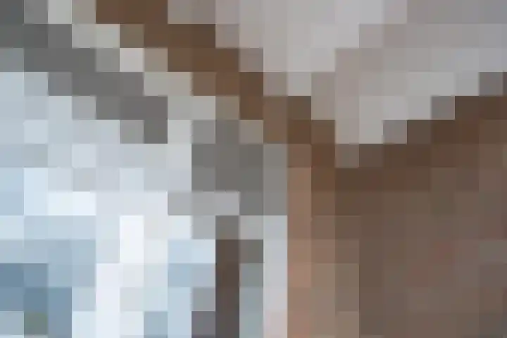 Binnenweg 7 Tiel thumbnail 54