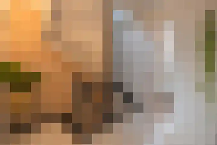 Binnenweg 7 Tiel thumbnail 58