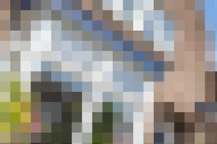 Binnenweg 7 Tiel thumbnail 6