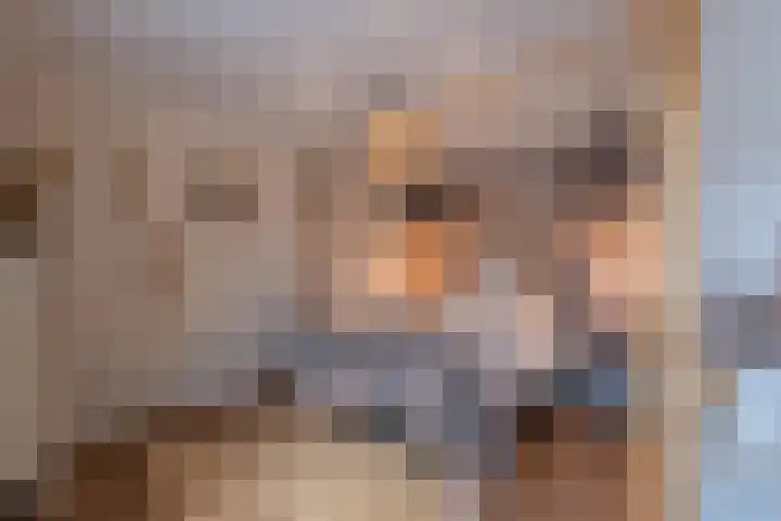 Binnenweg 7 Tiel thumbnail 63