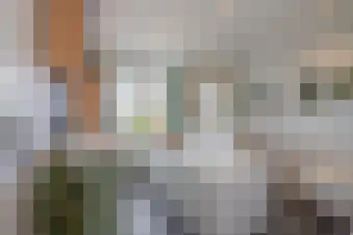 Binnenweg 7 Tiel thumbnail 67