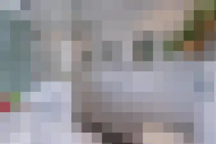 Binnenweg 7 Tiel thumbnail 68