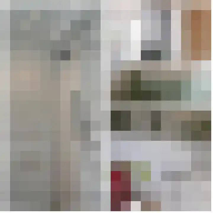 Binnenweg 7 Tiel thumbnail 69