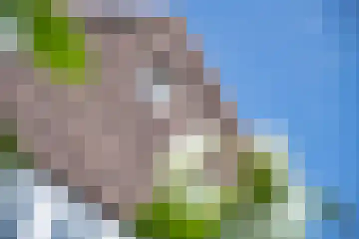 Binnenweg 7 Tiel thumbnail 7