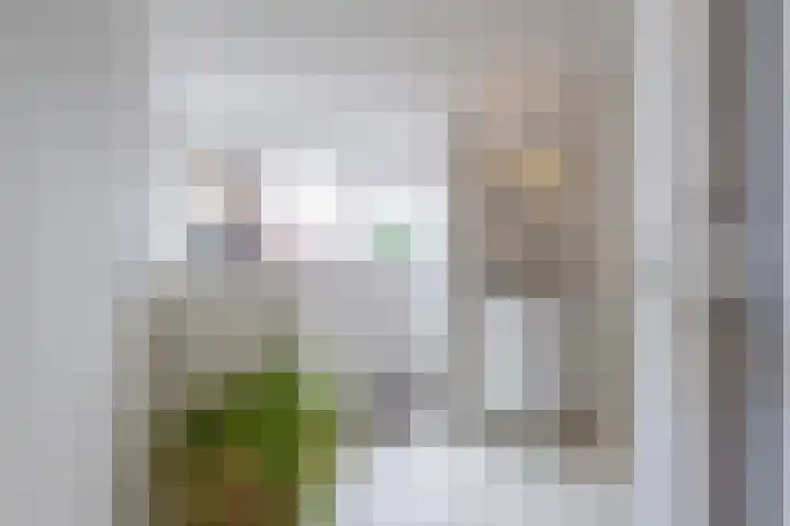 Binnenweg 7 Tiel thumbnail 70