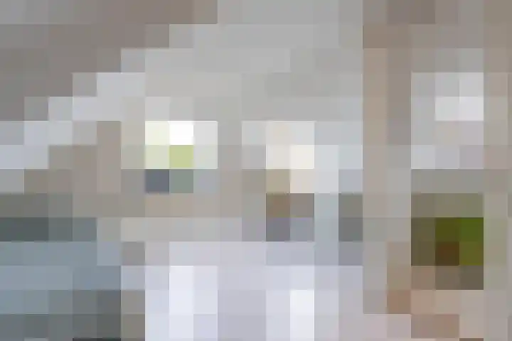Binnenweg 7 Tiel thumbnail 72
