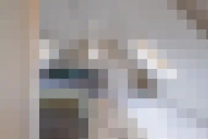 Binnenweg 7 Tiel thumbnail 74